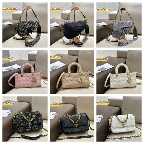 Dior Saddle Bag Canvas and Leather Shoulder Bag Multicolor