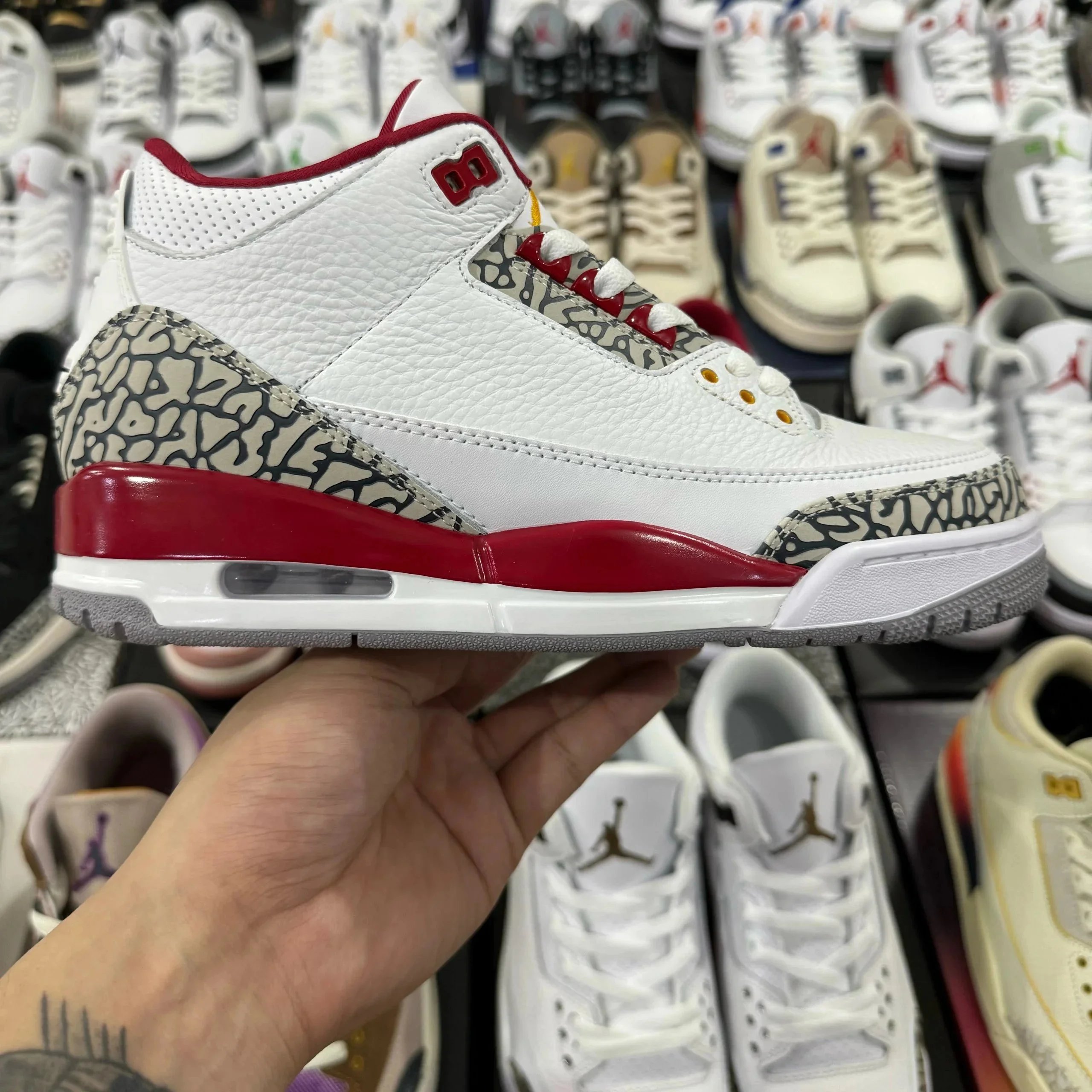 红雀 酒红色 红雀 酒红色