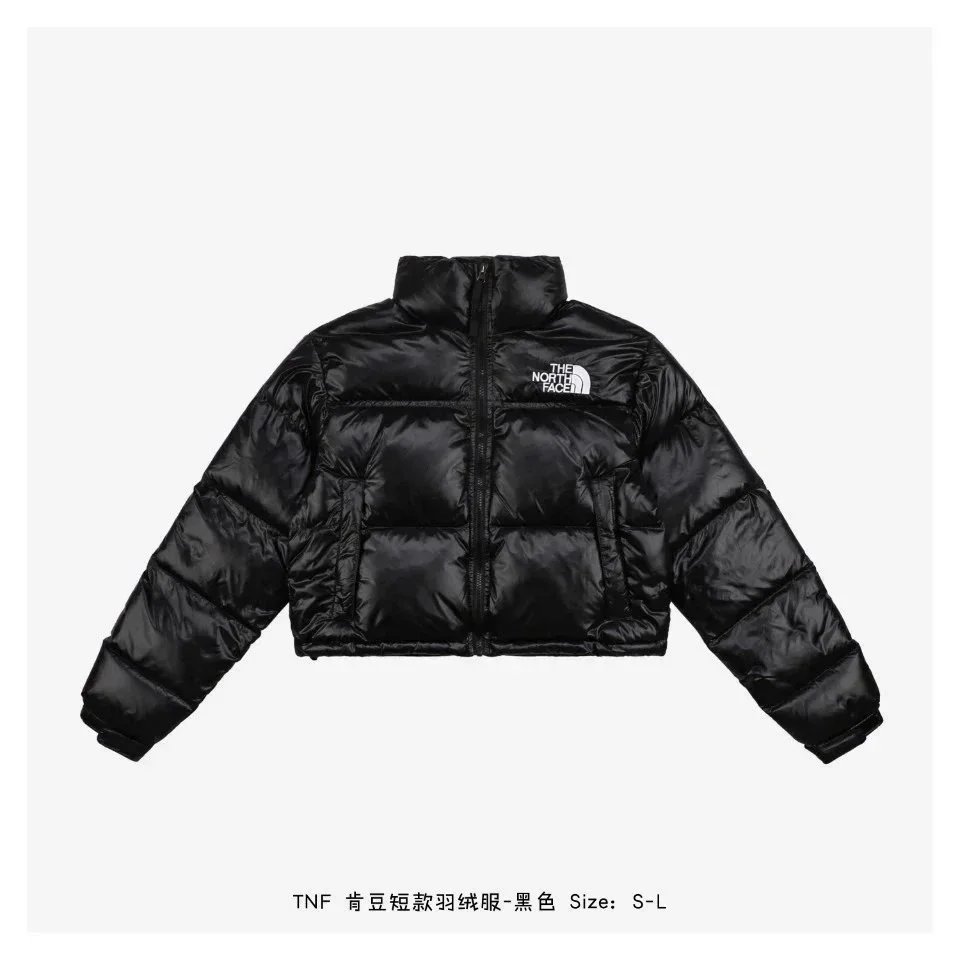 41 41