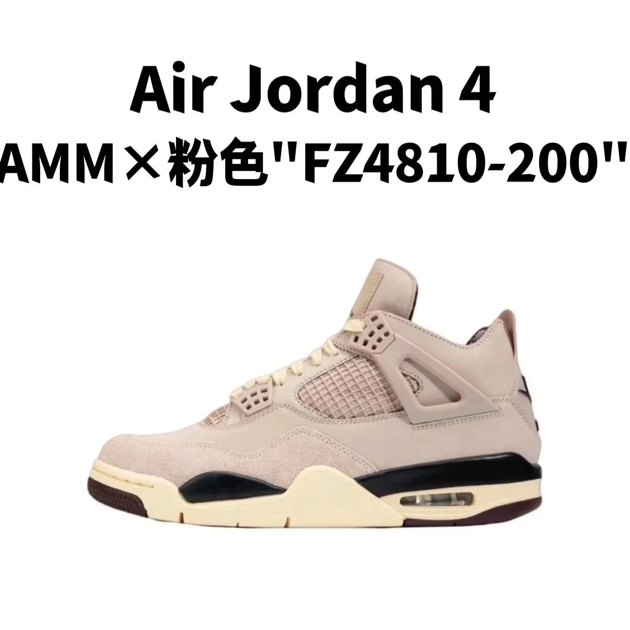1.AMM×粉色 1.AMM×粉色