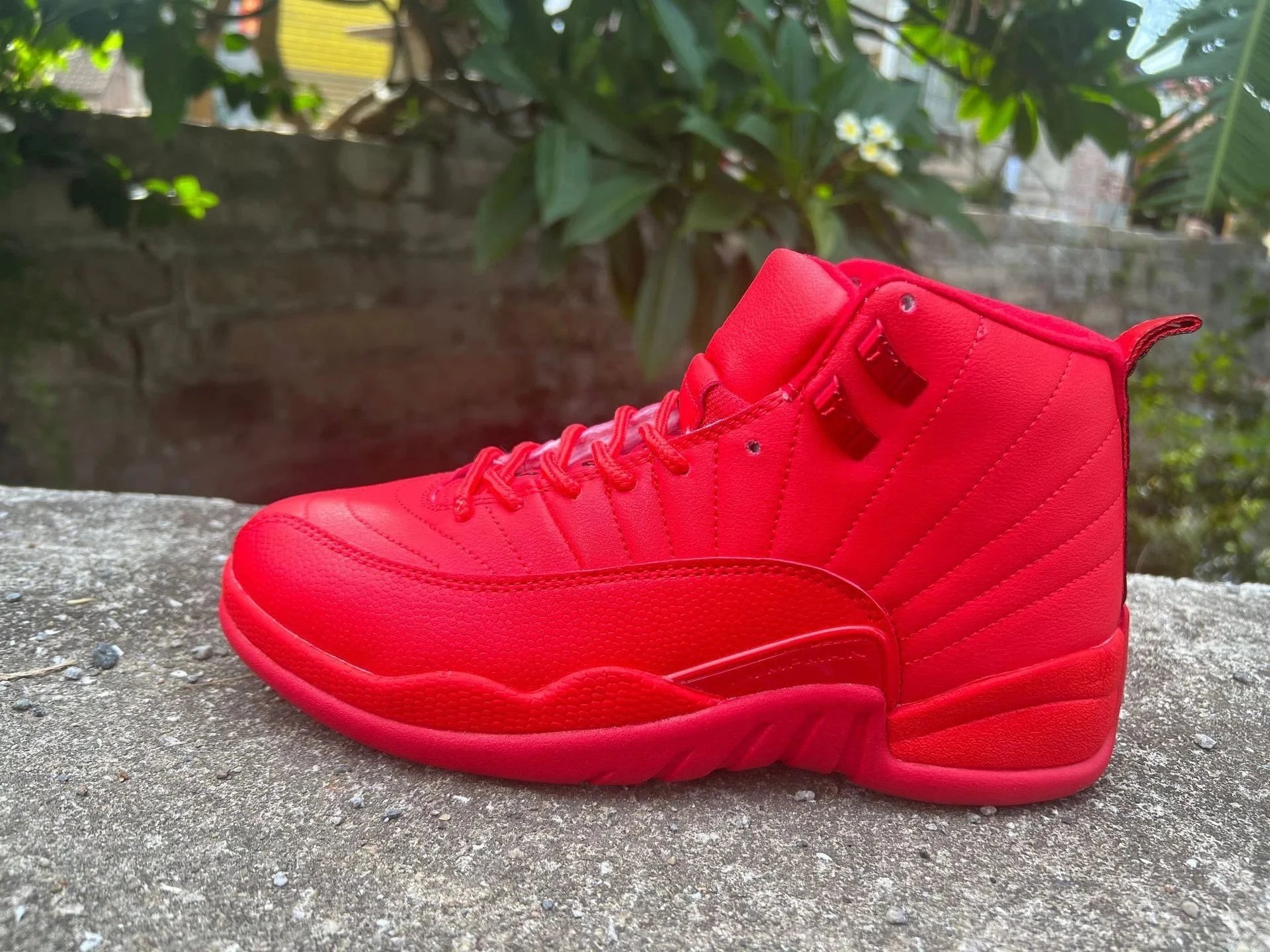 AJ12-全红