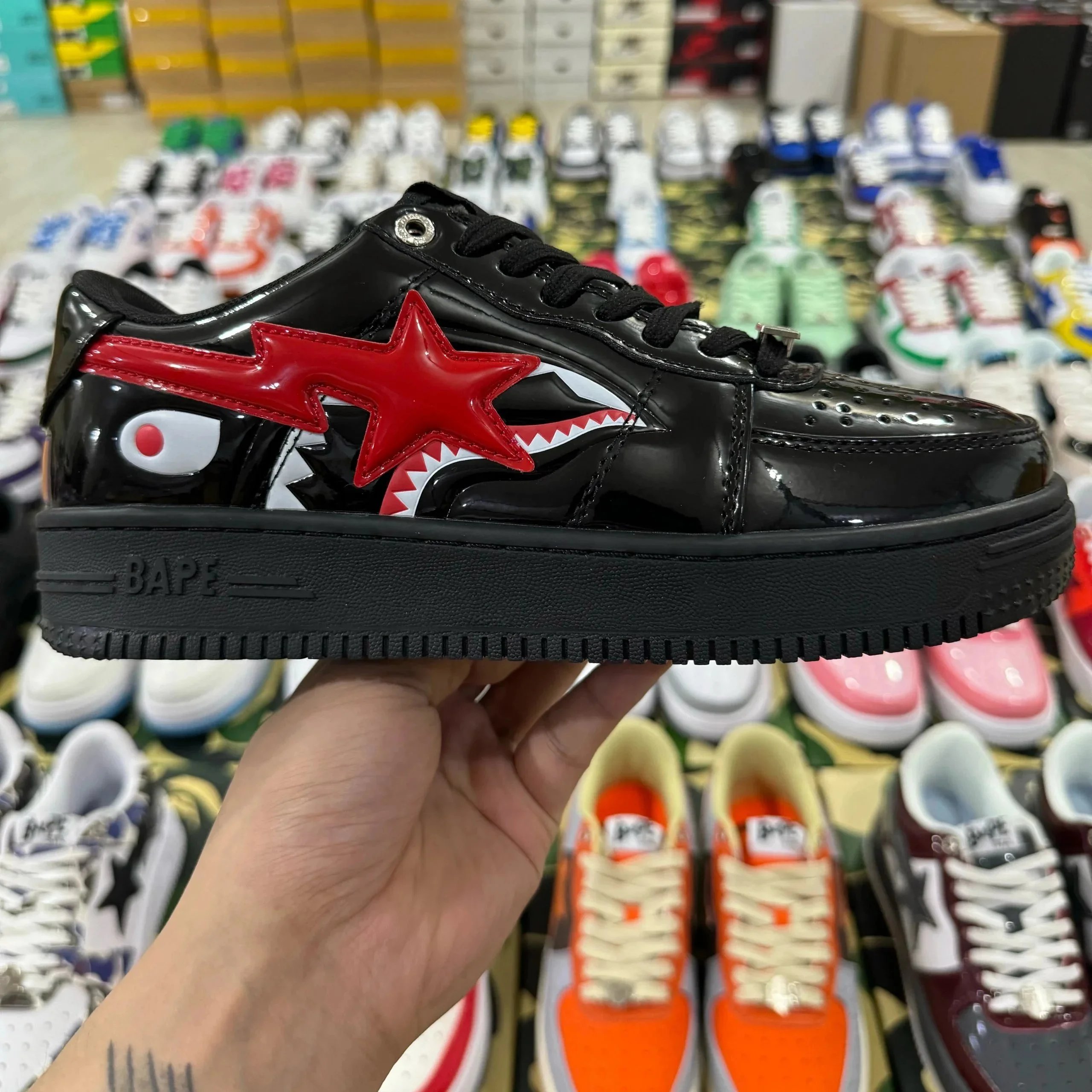 黑红鲨鱼