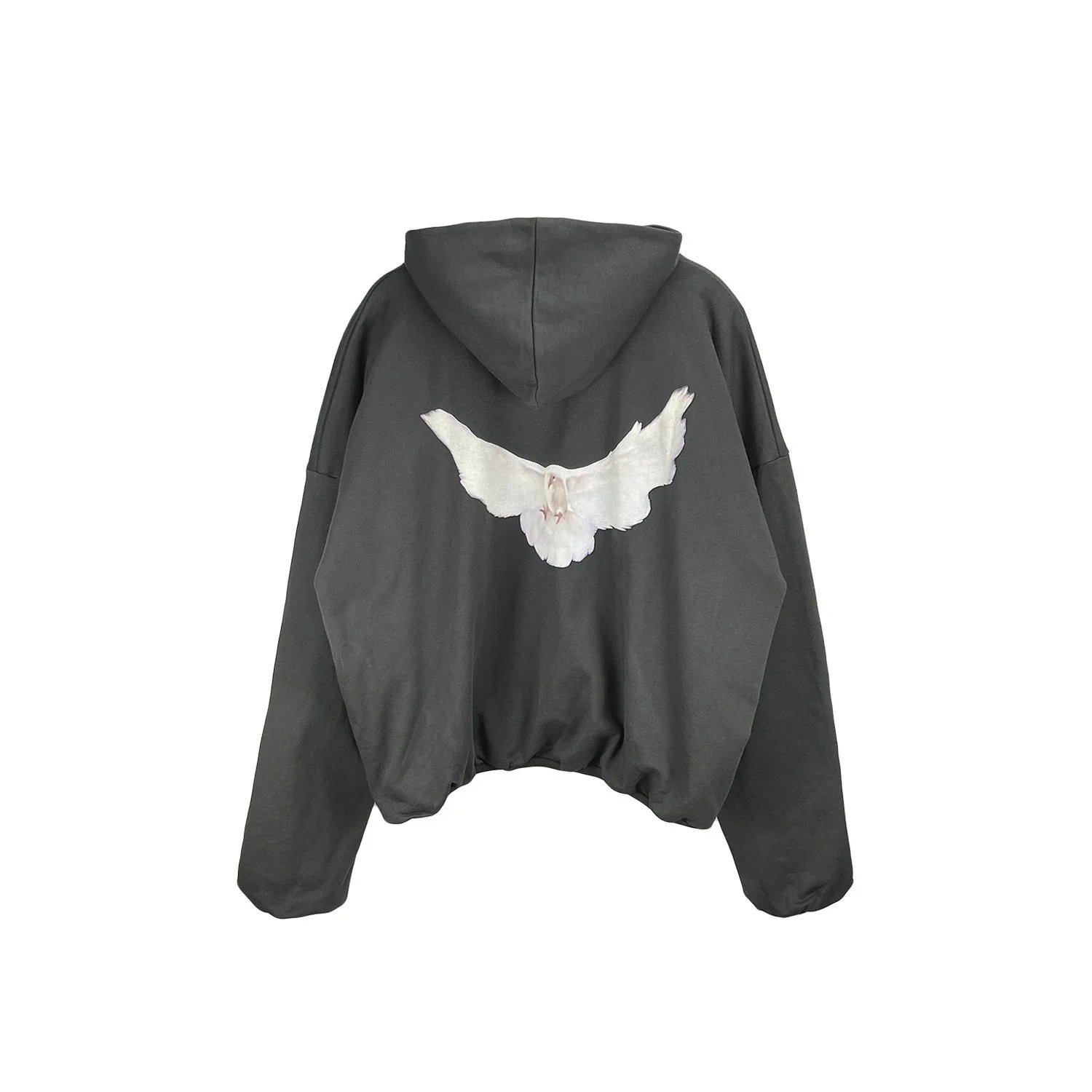 和平鸽灰色