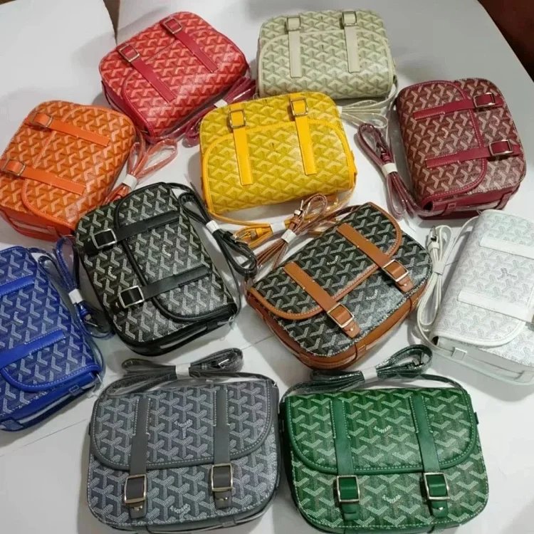 Goyard Saint Louis PM Canvas Crossbody Bag Multicolor