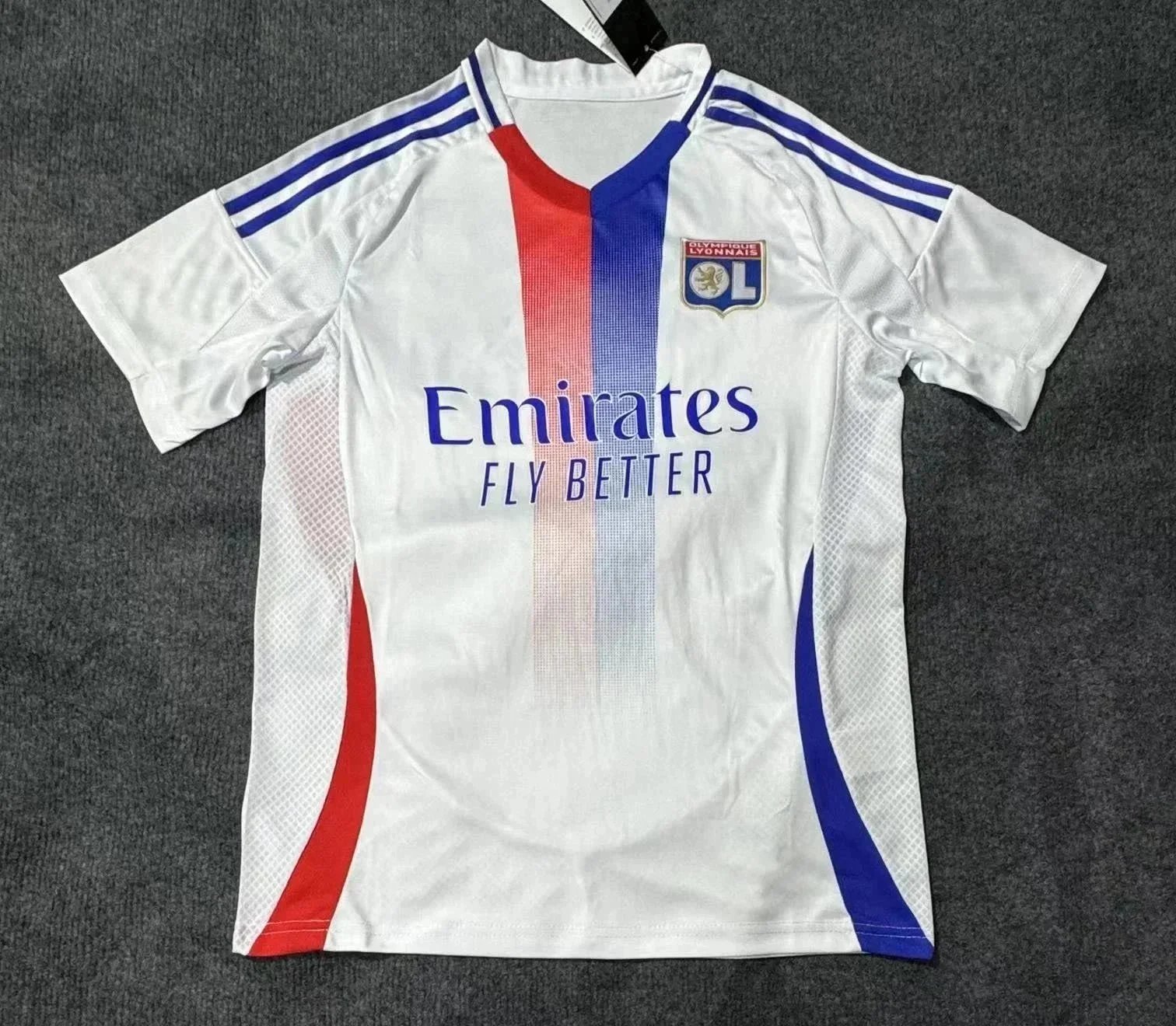 Lyon’s home ground