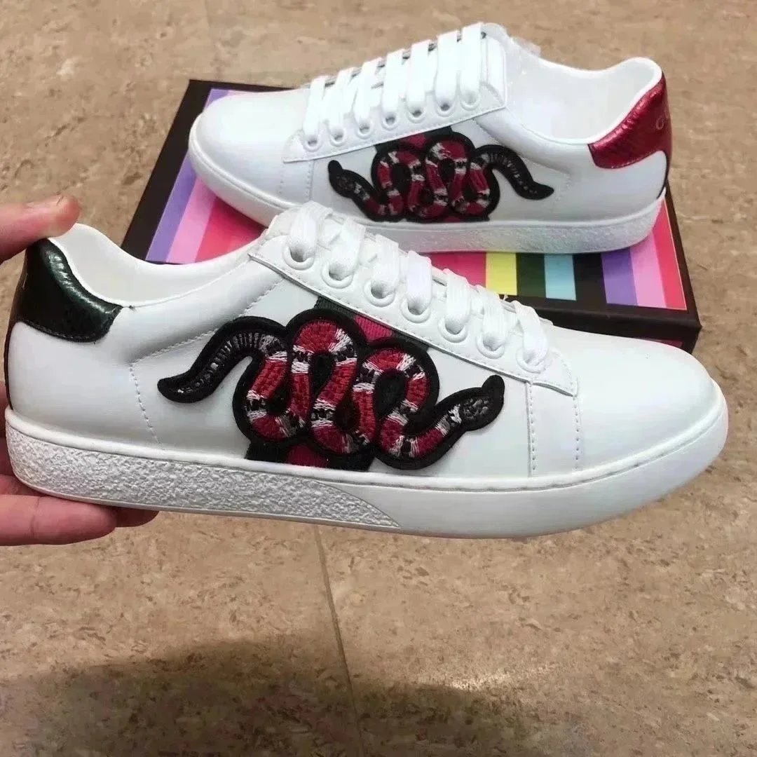 26 26