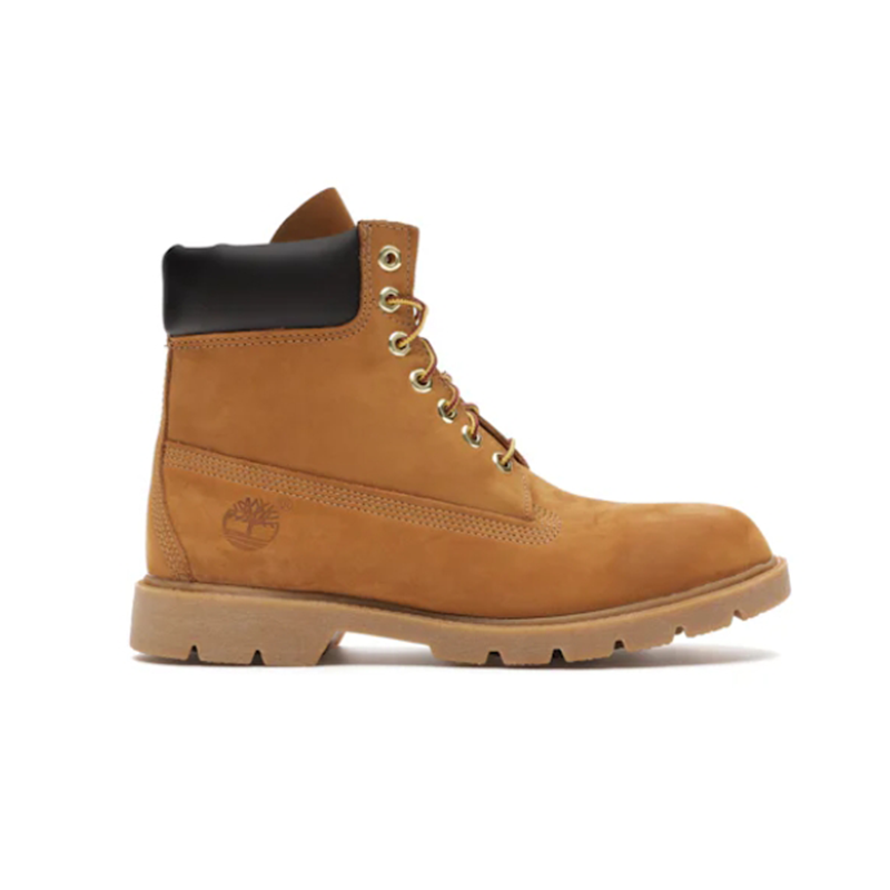Wheat TB018094231 Wheat TB018094231