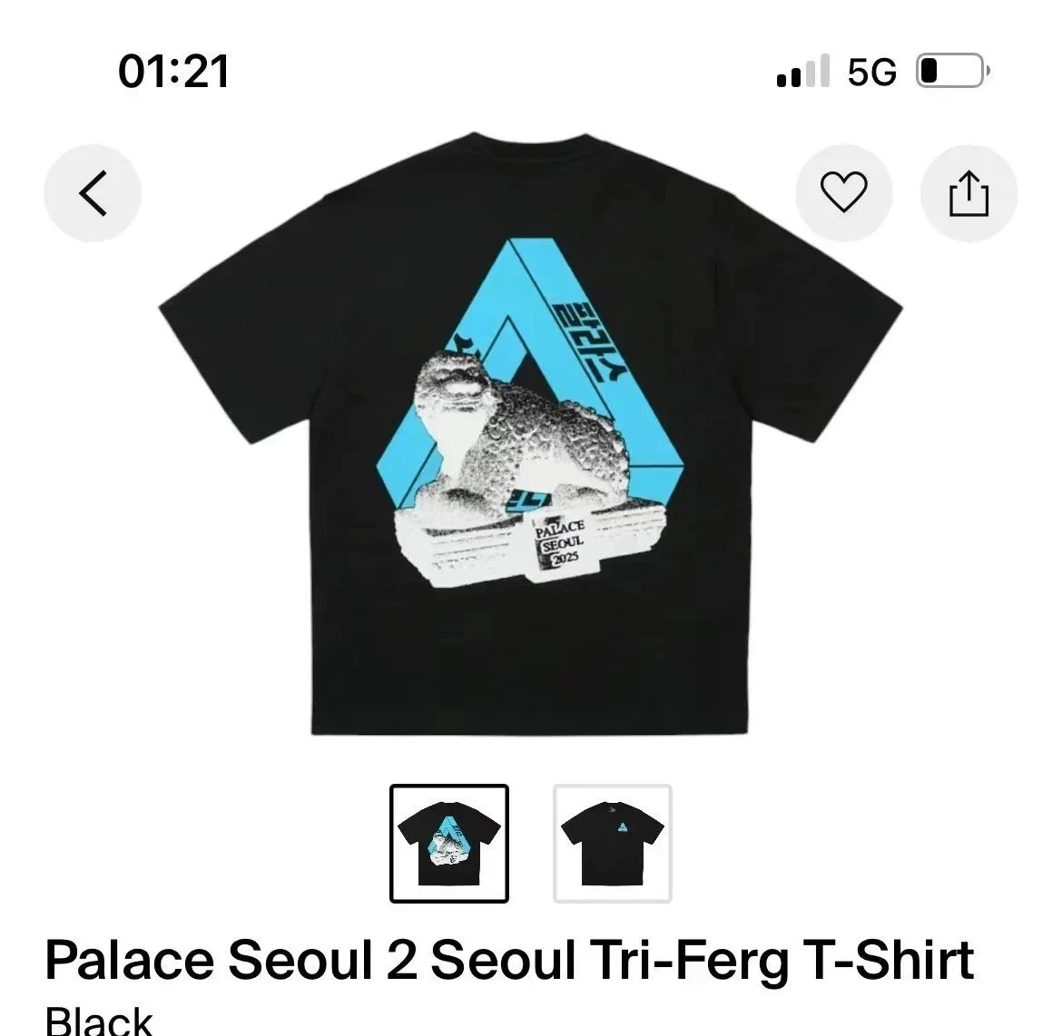 5 5