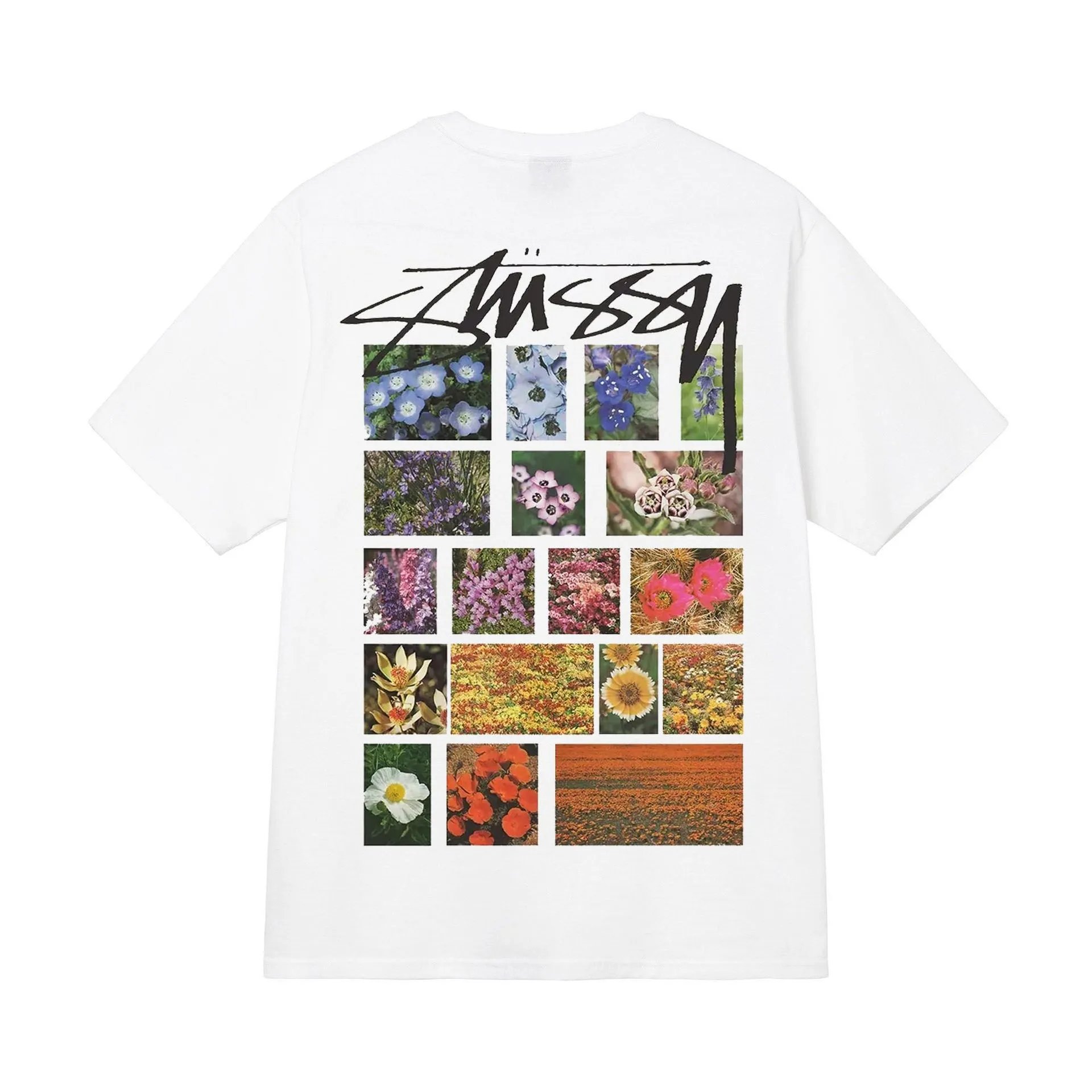 白色【花草】 白色【花草】