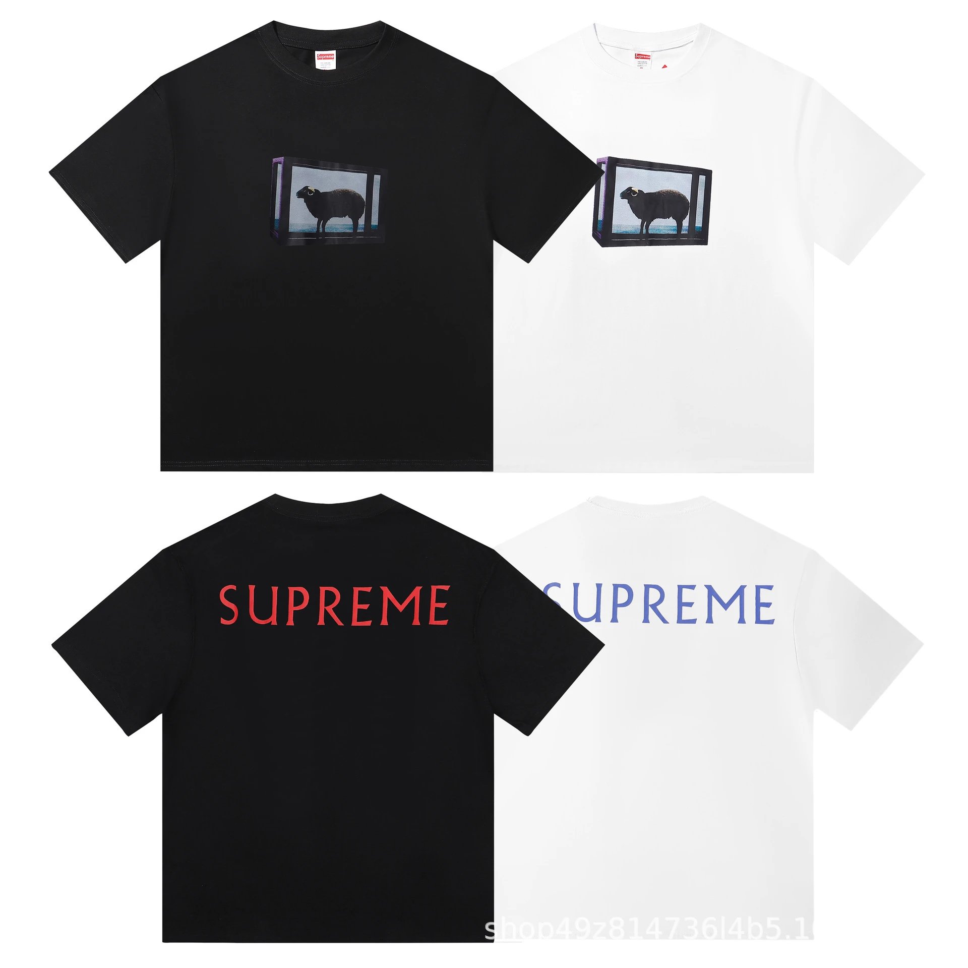 E2041白色 E2041白色