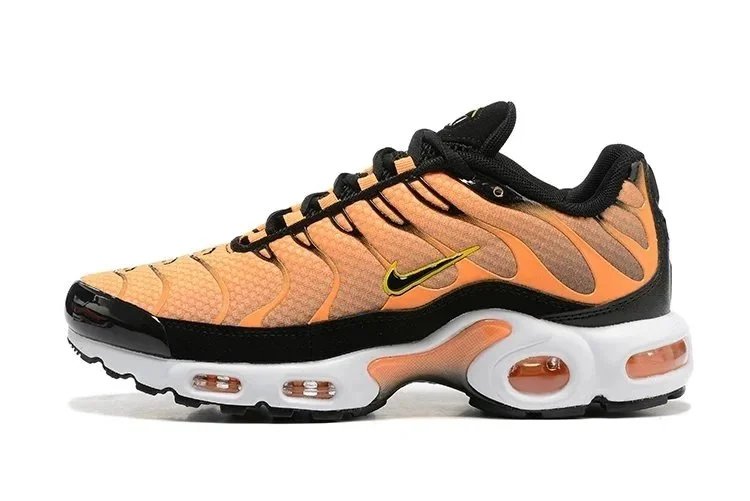 6 6