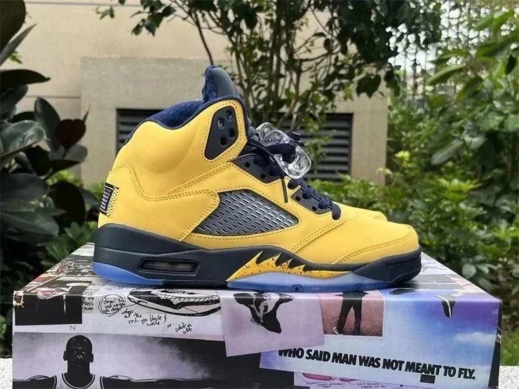 20 20